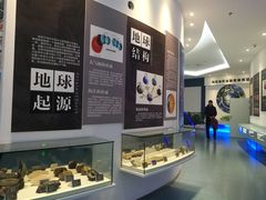 -金钉子远古世界景区