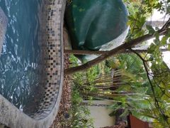 -三亚珠江南田温泉度假区