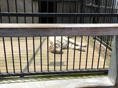 动物园-东湖公园