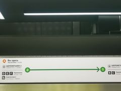 -谢列梅捷沃国际机场