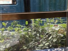 -祈胜邨•顺德鱼生•顺德菜(容桂店)