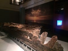 -布洛克德克萨斯国家历史博物馆