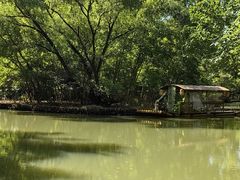-同里国家湿地公园