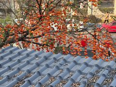 -田园印象·成都土菜院子(华阳店)
