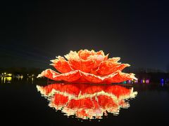 -洛阳市隋唐城遗址植物园