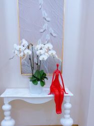 -JUVA欧华医美连锁