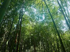 -紫竹院公园冰场