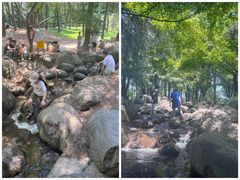 -上海共青森林公园