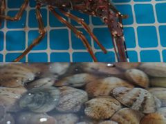 -三亚火车头万人海鲜广场