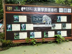 -野象谷景区