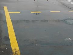 -胜华驾校·小猫学车(银都店)