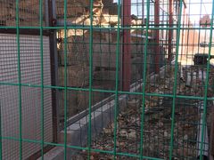 -河北村民俗体验园