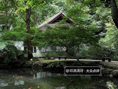 -虎跑公园