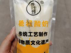 -德禄酸奶(莫家街店)