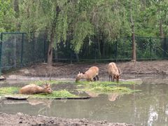-溱湖国家湿地公园
