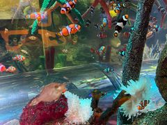 -沈阳海洋探索中心