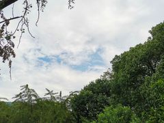 -雨花胜境