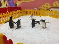 -第五极儿童乐园
