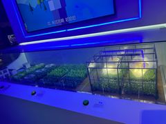 -苏州青少年科技馆