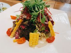 蔬菜沙拉-隐泉之语日式料理(王府中环店)