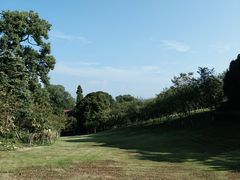 -南山植物园