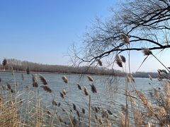 -野鸭湖国家湿地公园