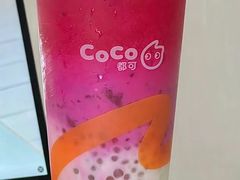 -CoCo都可(鹿泉北国商城店)