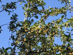 -元大都城垣遗址公园