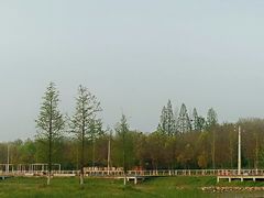 -佛手湖郊野公园