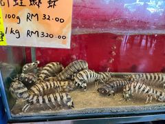 -大树下海鲜饭店