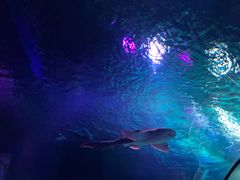 -沈阳海洋探索中心