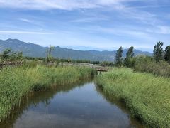 -野鸭湖国家湿地公园