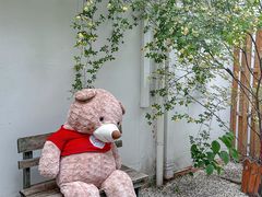 -古月四季