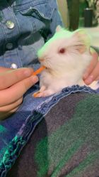 -酷嗒动物文化乐园(cutezoo西溪乐天城店)