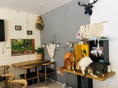 -平行世界·猫咖(首经贸店)