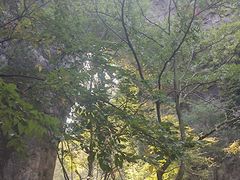 -龙宫洞风景区