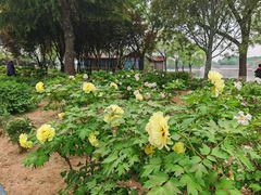 -石家庄市植物园