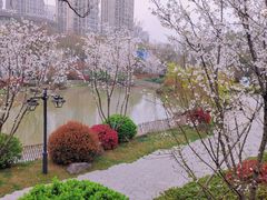 -临平公园(临平街道)