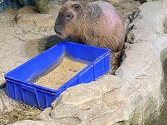 -海合安武汉极地海洋公园