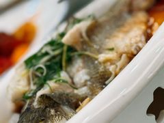 -椿记烧鹅(建干路店)