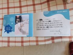 -纳吉亚猫专科动物医院博雅分院