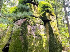 -汤旺河林海奇石景区