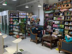 -欧奕国际动物医院