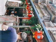 -周肥肠(江油总店)