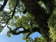 -澳门圣地牙哥古堡酒店