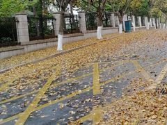-八大关景区