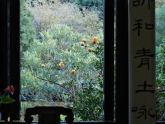 -东山风景区(洞庭东山)