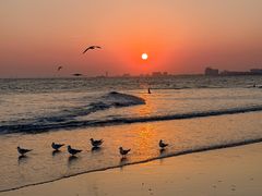 -老虎石海上公园