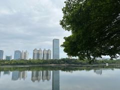 -南宁南湖公园