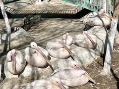 -水上乐园·欢乐世界